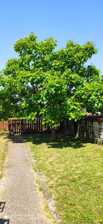 Maison De Charme Avec Jardin Cousance Exteriör bild